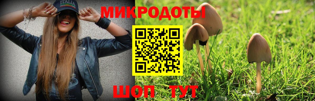 A-PVP Киселёвск
