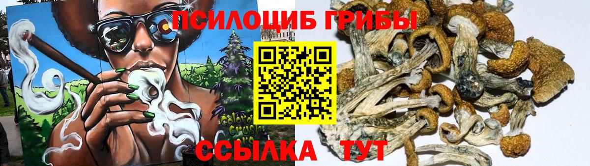 Псилоцибиновые грибы прущие грибы Киселёвск